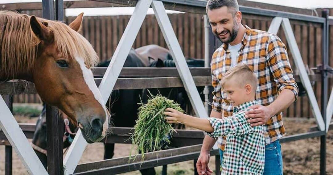 A man and a child are feeding a brown horse through a wooden fence. The child holds a bunch of grass towards the horse while the man, in a plaid shirt, smiles beside him. Two horses are visible in the background.