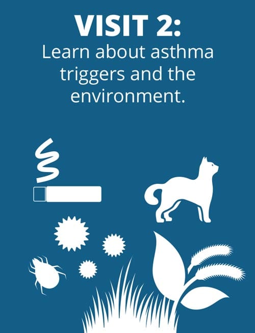 Free Asthma Coach Program 5 Blue background with white icons depicting asthma triggers, including pollen, grass, a dust mite, a cat, and a cigarette. Text reads: "Visit 2: Learn about asthma triggers and the environment.