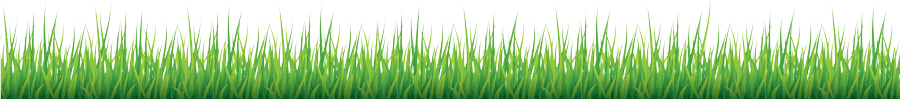 Illustration of tall, green grass blades with tips outlined in white, set against a black background. The grass is densely packed, creating a lush effect, with various shades of green giving depth.